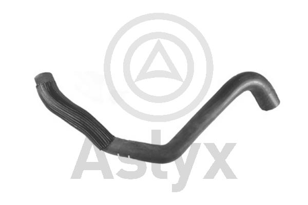 Radiator Hose (AS-509585)