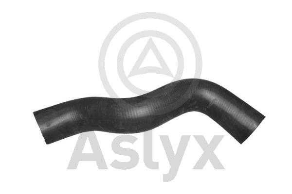 Radiator Hose (AS-203575)