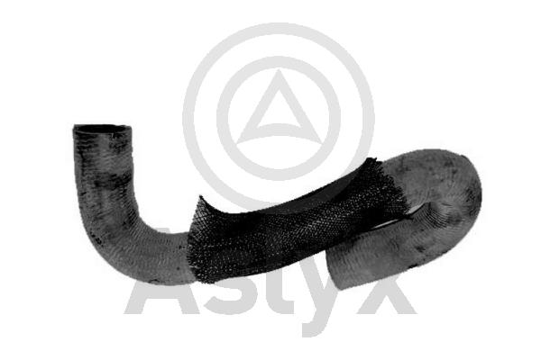 Radiator Hose (AS-204029)