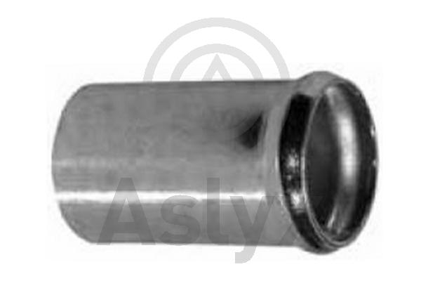 Coolant Pipe (AS-201147)