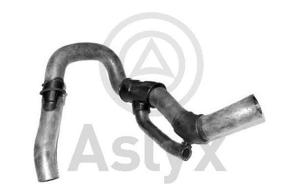 Radiator Hose (AS-203989)