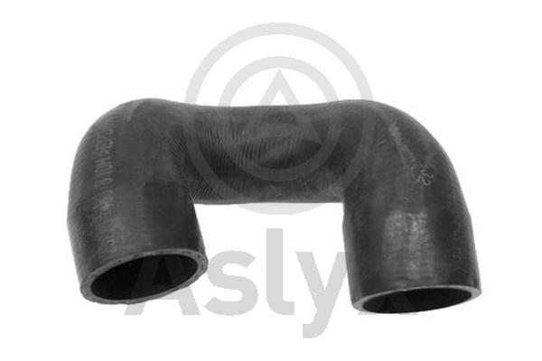 Heater Hose (AS-509896)