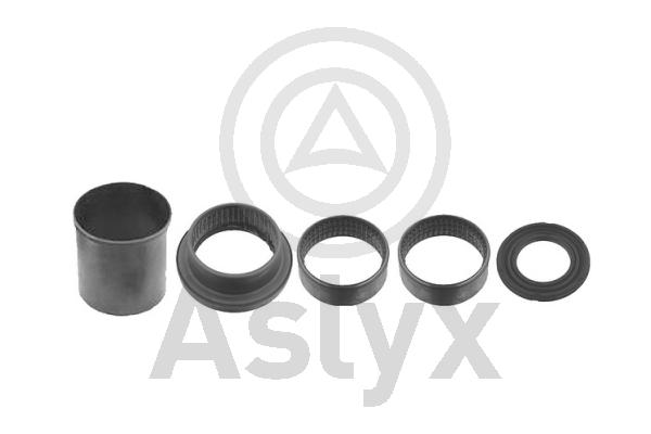 Repair Kit, axle beam (AS-202549)