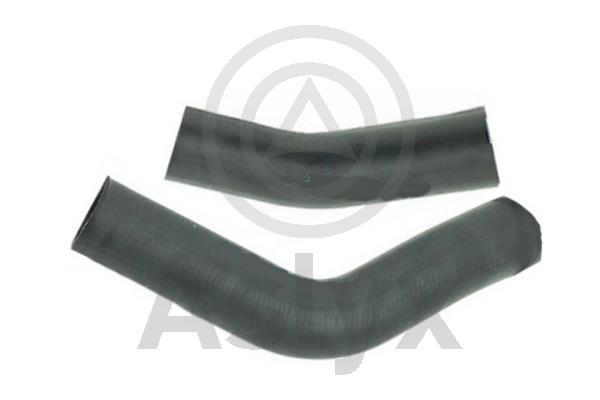 Charge Air Hose (AS-594310)