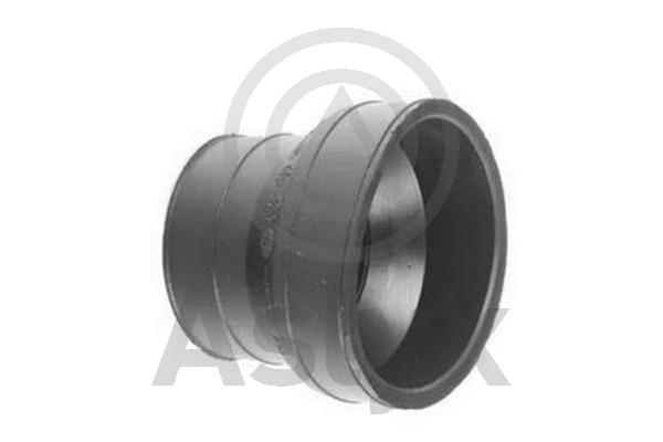 Hose, air supply (AS-521270)