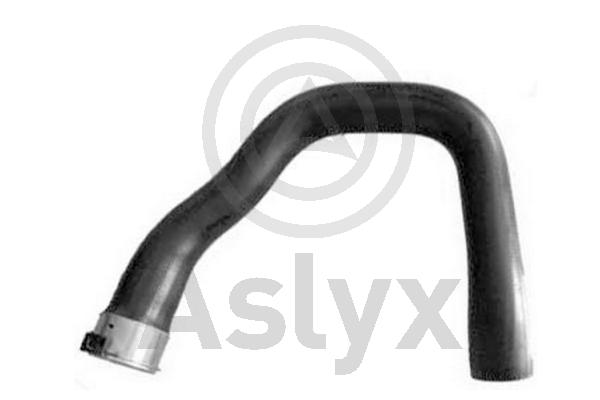 Charge Air Hose (AS-509871)