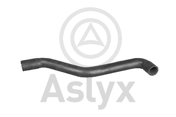Radiator Hose (AS-203763)