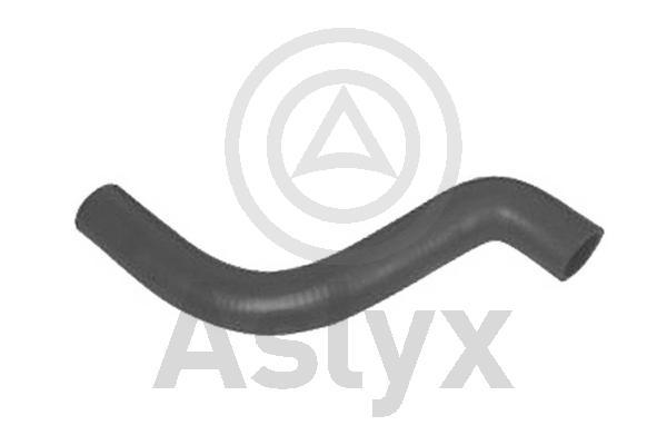 Radiator Hose (AS-203543)