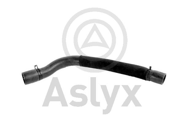Radiator Hose (AS-204438)
