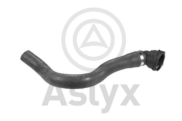 Radiator Hose (AS-204431)