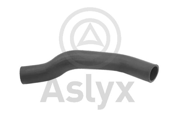 Radiator Hose (AS-203723)