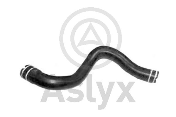 Radiator Hose (AS-509804)