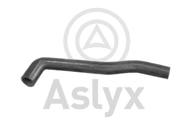 Radiator Hose (AS-203596)