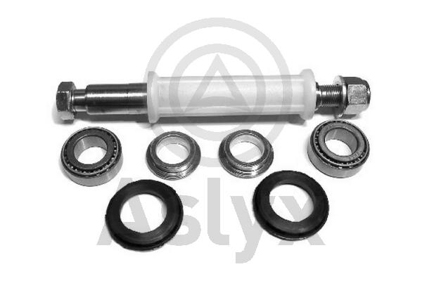 Repair Kit, control arm (AS-201052)
