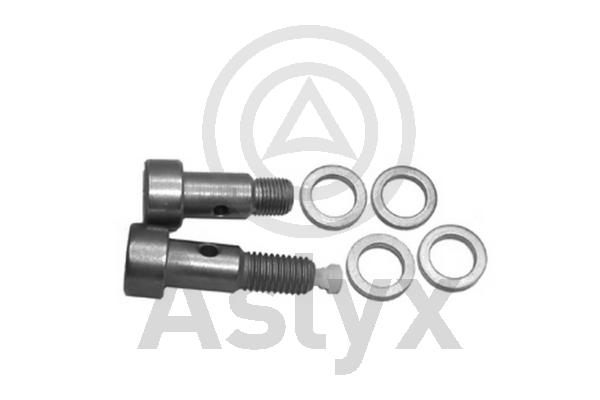 Banjo Bolt, charger (AS-506284)