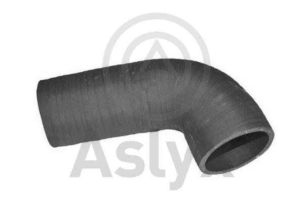 Charge Air Hose (AS-509797)