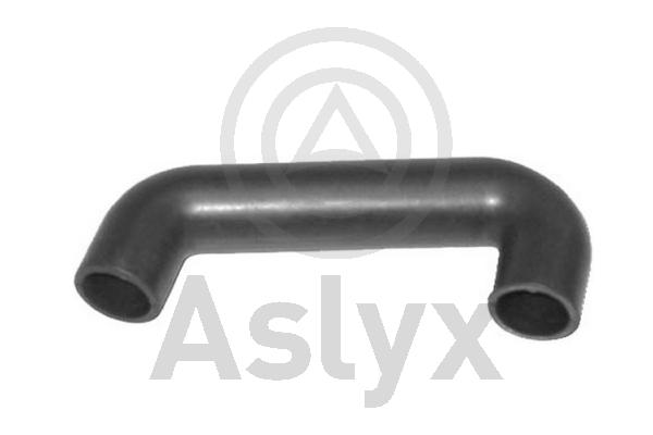 Hose, cylinder head cover ventilation (AS-203792)