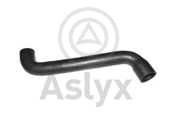 Radiator Hose (AS-510042)