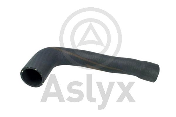 Charge Air Hose (AS-509852)