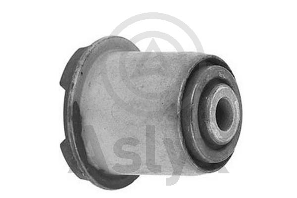Mounting, control/trailing arm (AS-201930)