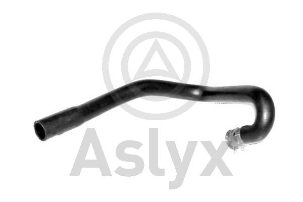 Radiator Hose (AS-203899)