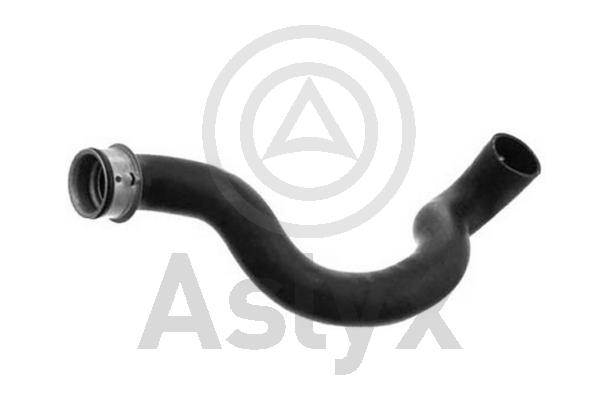 Radiator Hose (AS-510053)