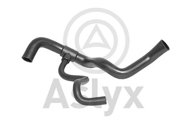 Radiator Hose (AS-203777)