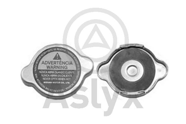 Cap, radiator (AS-506312)