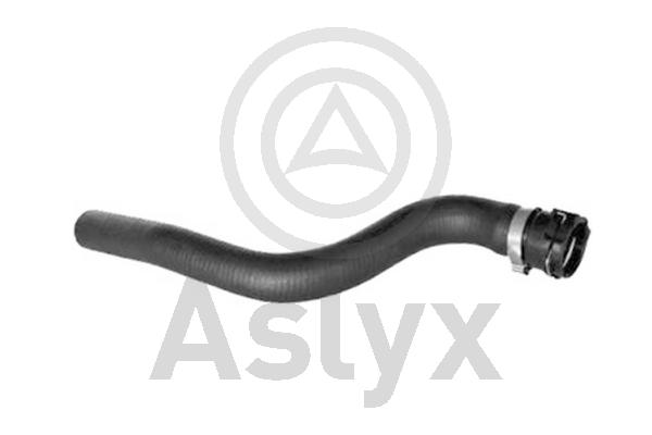 Radiator Hose (AS-204256)