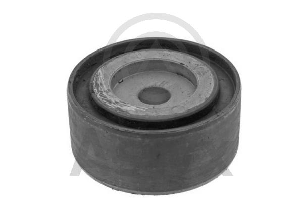 Mounting, transfer case (AS-203298)