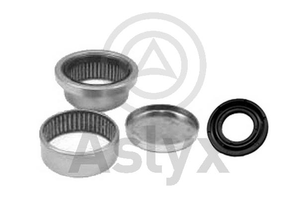 Repair Kit, axle beam (AS-202093)