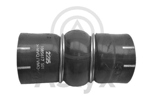 Charge Air Hose (AS-509670)