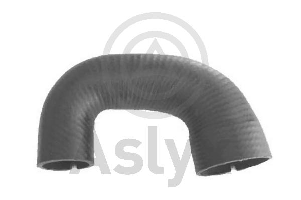 Charge Air Hose (AS-594379)