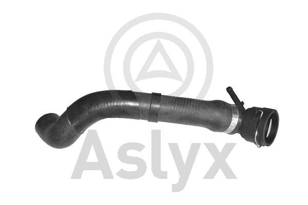 Radiator Hose (AS-204316)