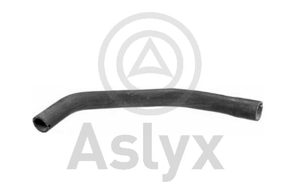 Radiator Hose (AS-509770)