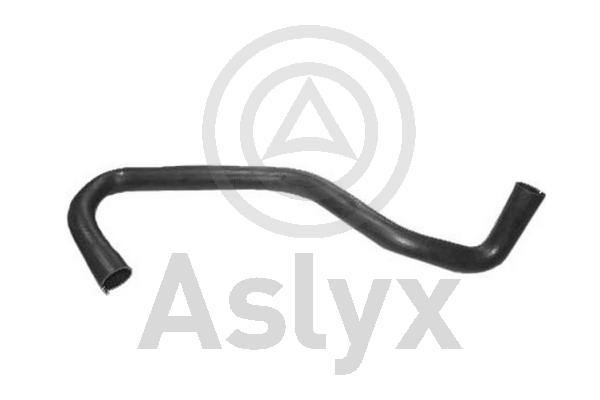 Radiator Hose (AS-203987)