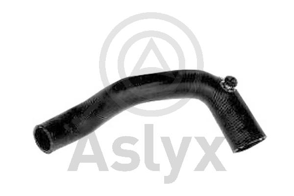 Radiator Hose (AS-203721)