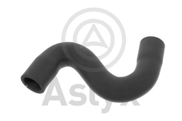 Radiator Hose (AS-203986)