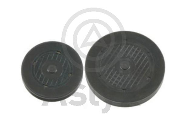 Plug, rocker arm shaft mounting bore (AS-202118)