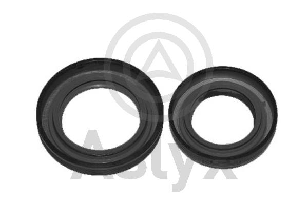 Shaft Seal, differential (AS-202098)