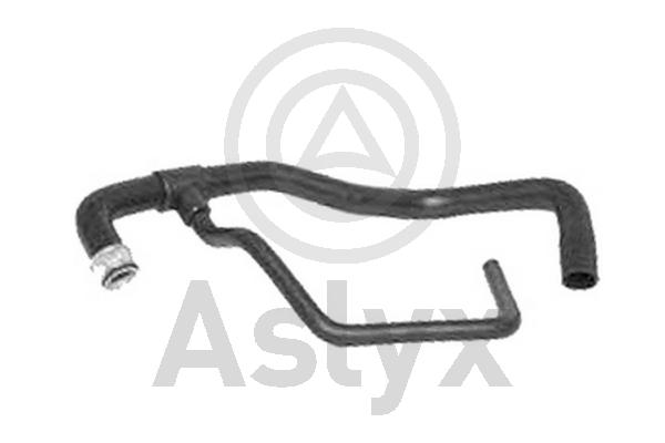 Radiator Hose (AS-203838)