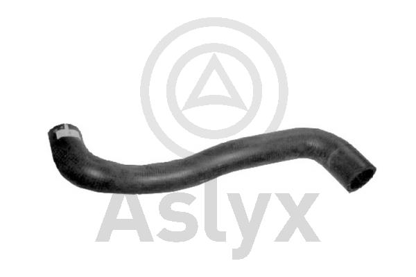Radiator Hose (AS-204187)