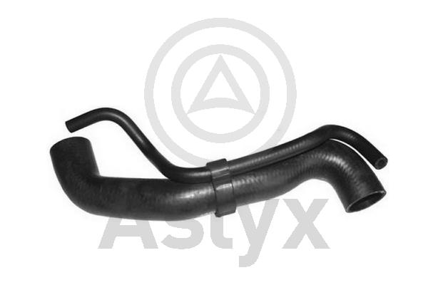 Radiator Hose (AS-510031)