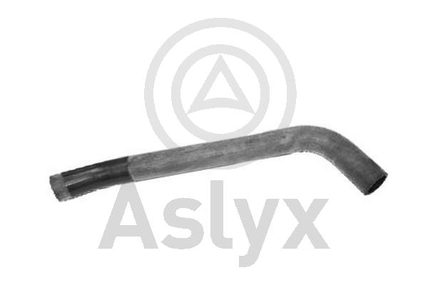 Radiator Hose (AS-203984)