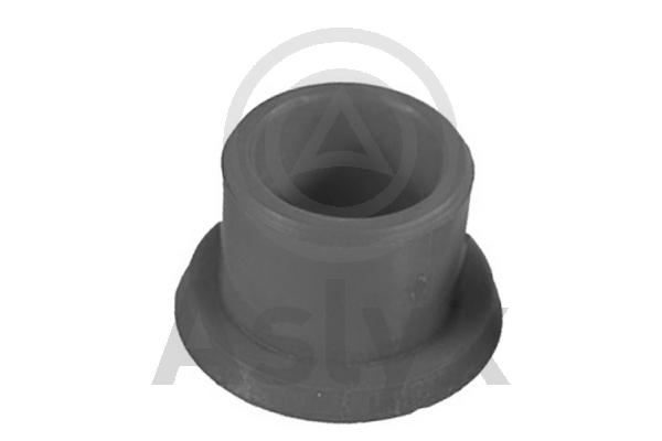 Bushing, selector/shift rod (AS-201033)