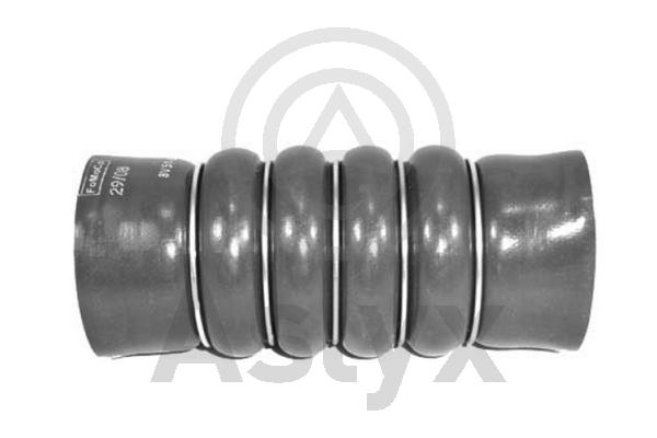 Charge Air Hose (AS-594053)