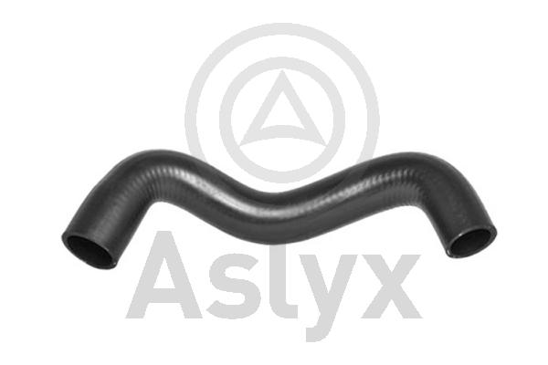 Radiator Hose (AS-203555)