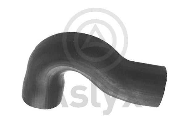 Charge Air Hose (AS-204098)