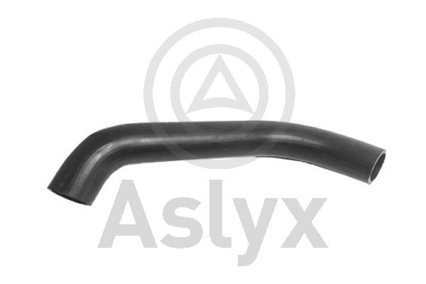 Radiator Hose (AS-202968)