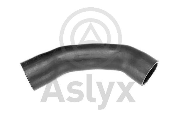 Charge Air Hose (AS-509952)